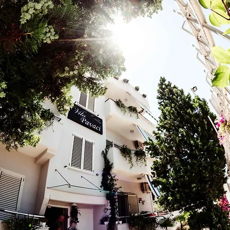 Pavaci Apartman *